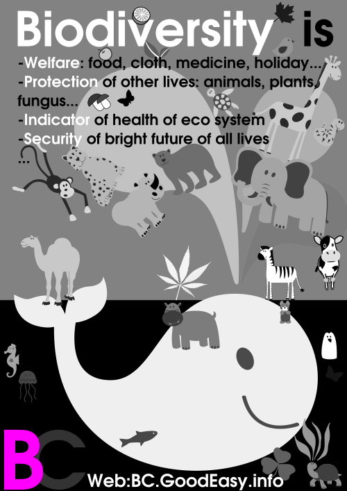 Biodiversity poster, A4 printable